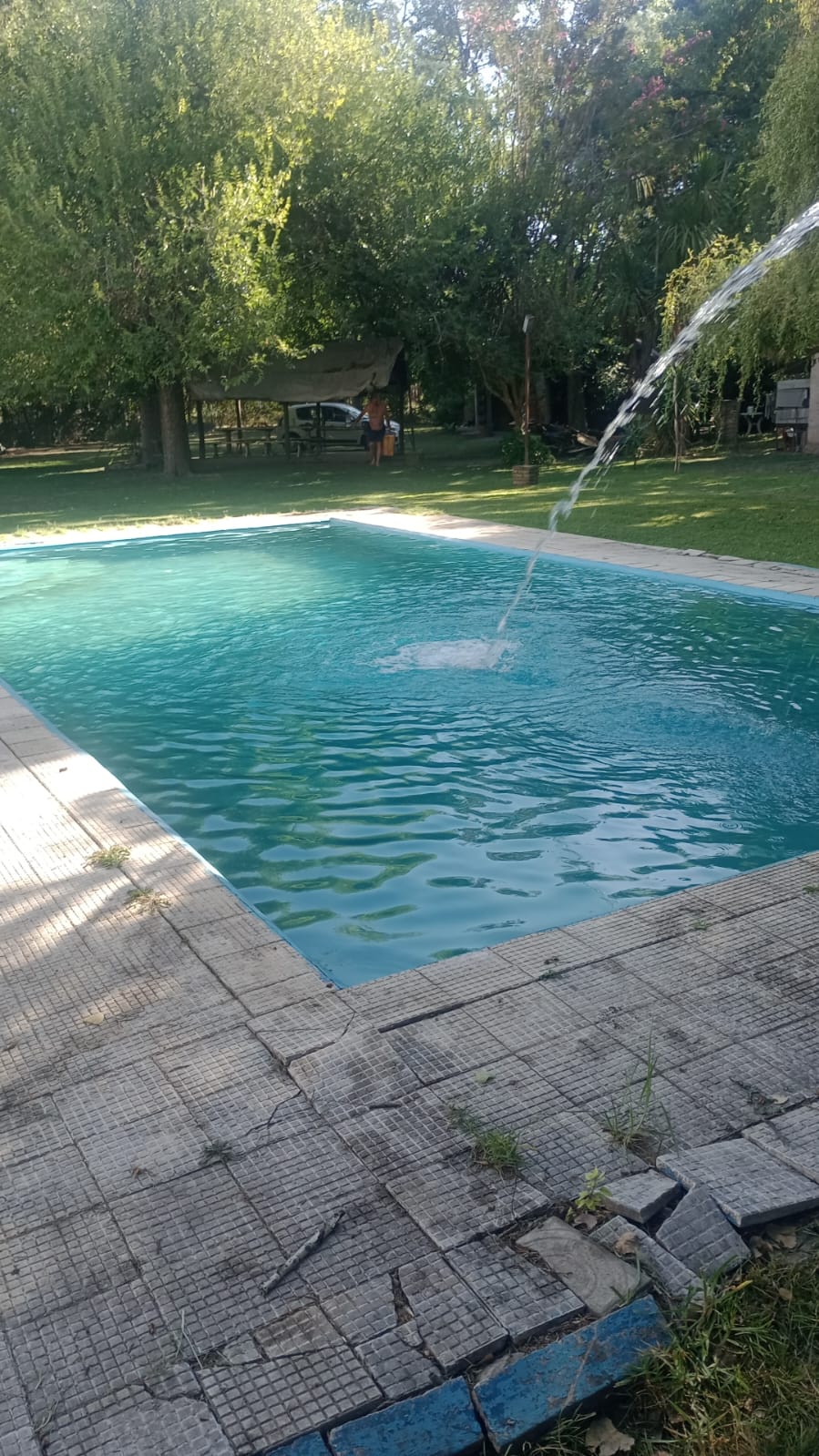 WhatsApp Image 2025-02-01 at 08.46.371.jpeg